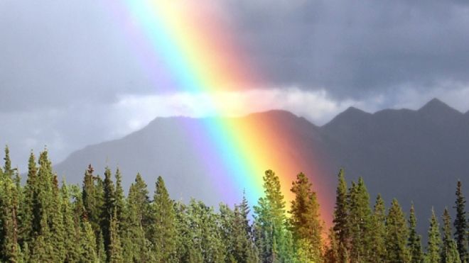 A rainbow falling on trees and a mountain