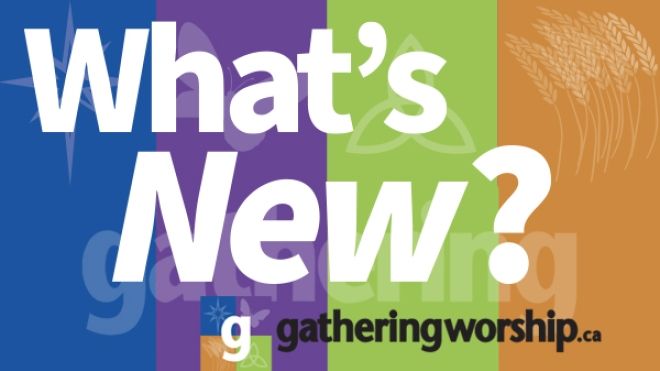 multicoloured What's New blog banner