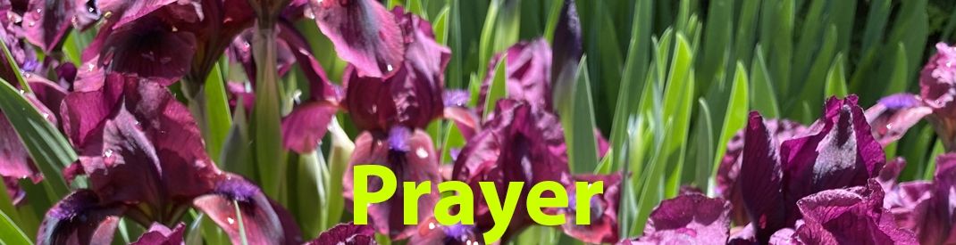 LE Prayer banner nature irises Prayer banner with a field of purple irises
