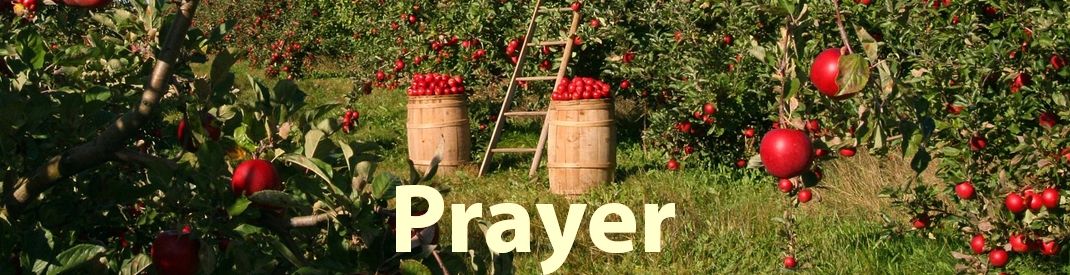 P2 Prayer banner nature apples baskets of red apples and a ladder in an orchard