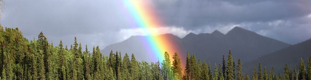 A rainbow falling on trees and a mountain A rainbow falling on trees and a mountain