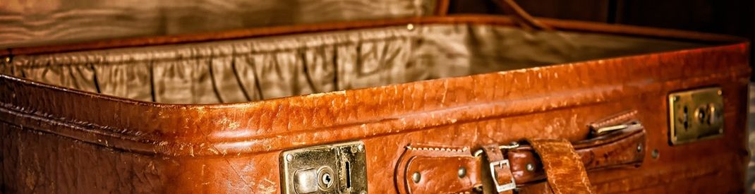 close-up of a tan suitcase, opened to show silk interior