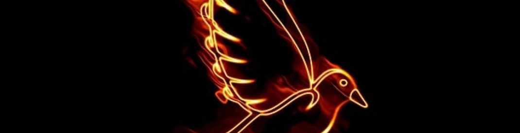 fiery dove on black background