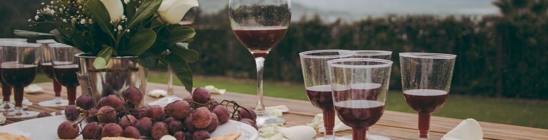 Wine and food picnic Wine and food picnic